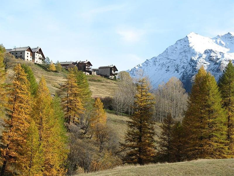 Auberge L'Estoilies Saint-Vérand Buitenkant foto